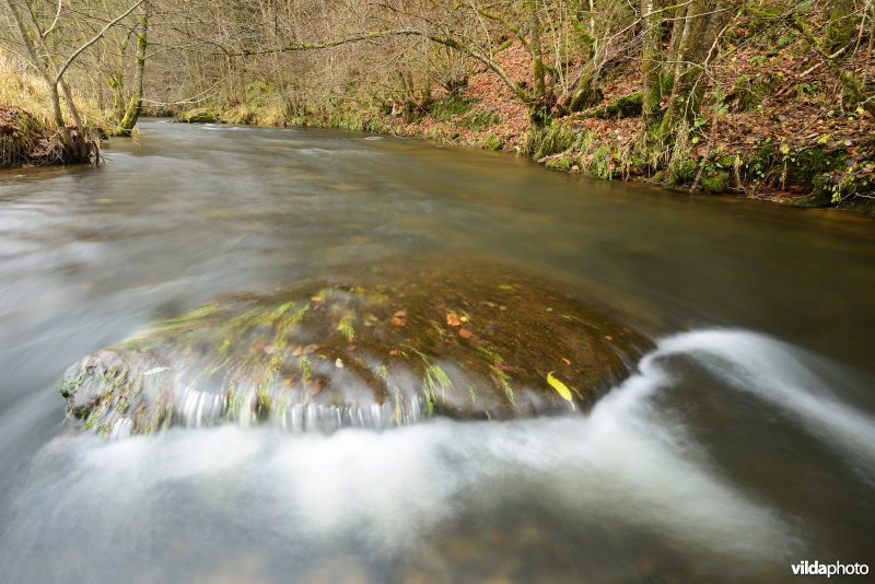 Vallei van de Ourthe