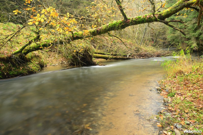 Vallei van de Ourthe