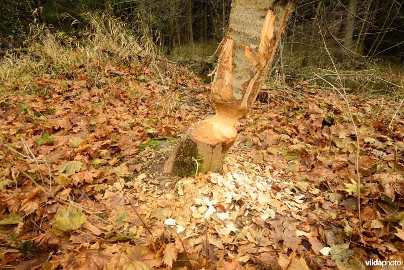 Vallei van de Ourthe