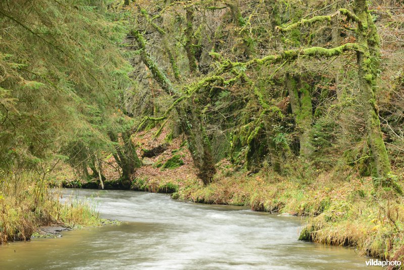 Vallei van de Ourthe