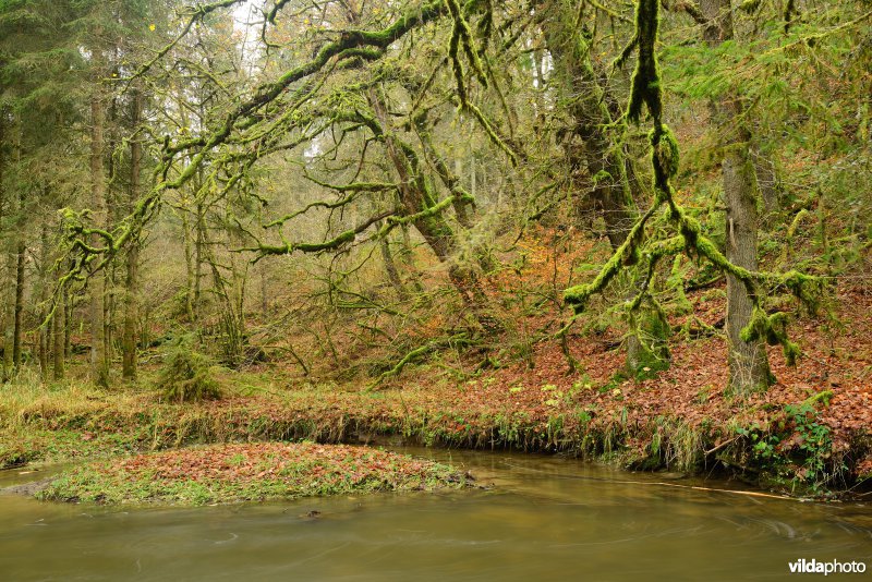 Vallei van de Ourthe