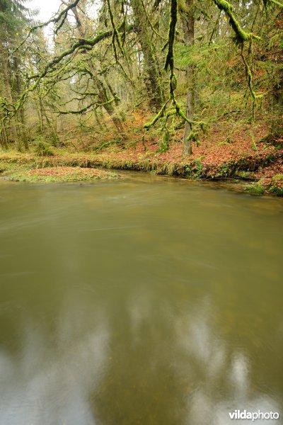Vallei van de Ourthe