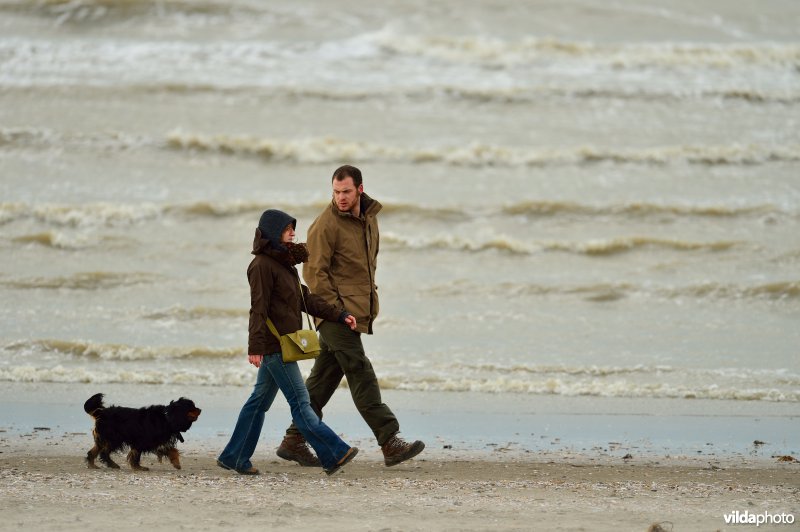 Wandelaars op het Noordzeestrand