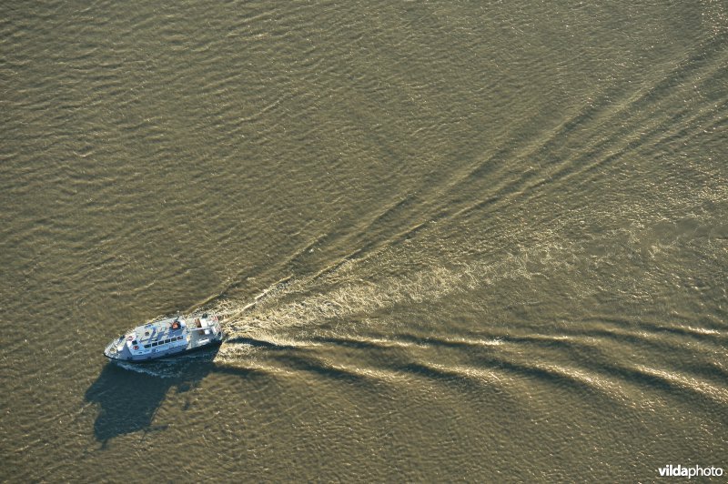 Schip op de Schelde