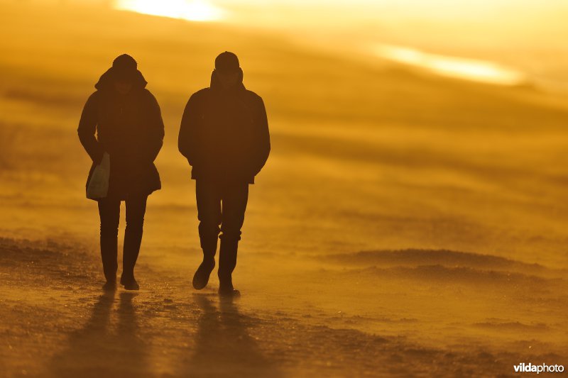 Wandelaars op het Noordzeestrand