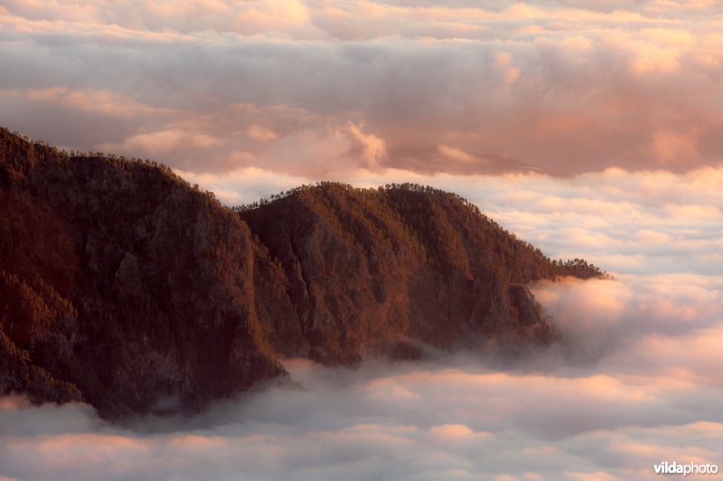 Caldera de Taburiente Nationaal Park