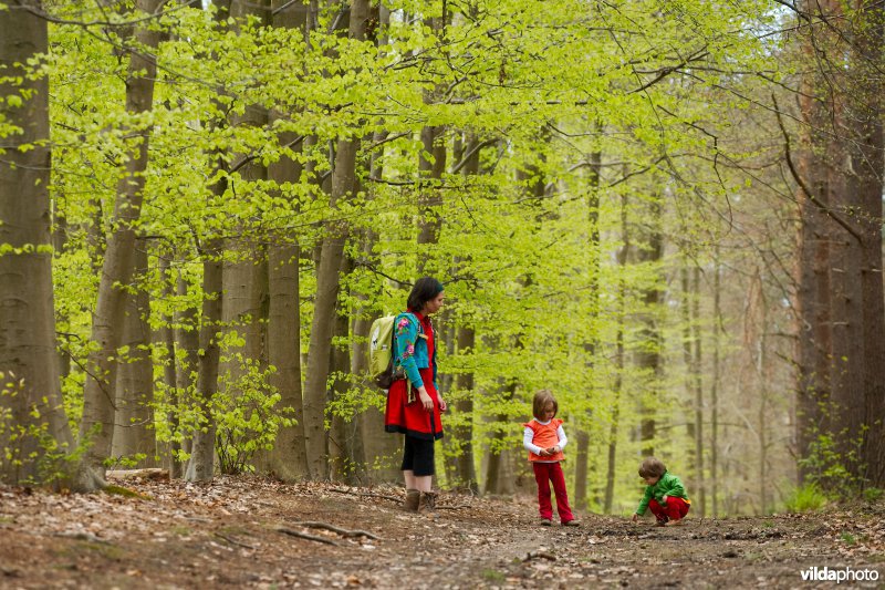 Wandelen in de lente