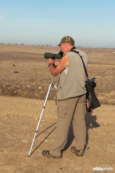 Vogels kijken