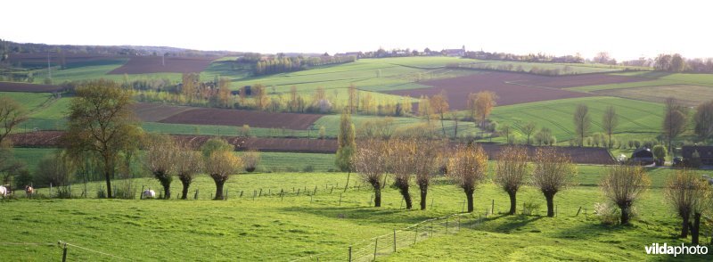Panoramisch zicht op de Kwaremont