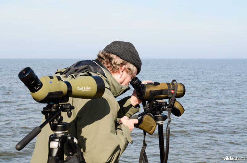 Vogelaars tellen vogels op het IJsselmeer.