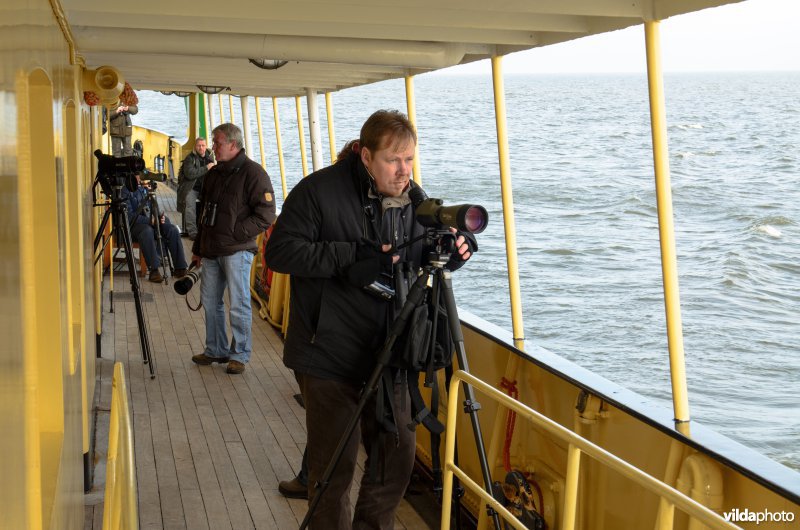 Vogelaars tellen vogels op het IJsselmeer.