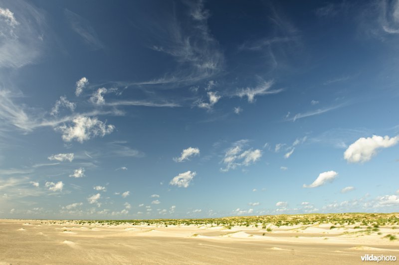 Wolkjes boven jonge duinen