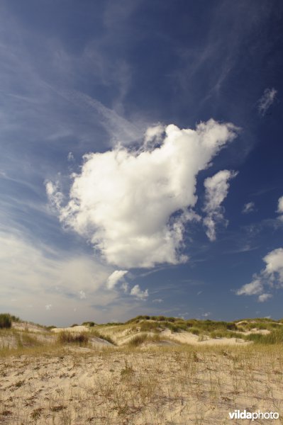 Wolkjes boven jonge duinen