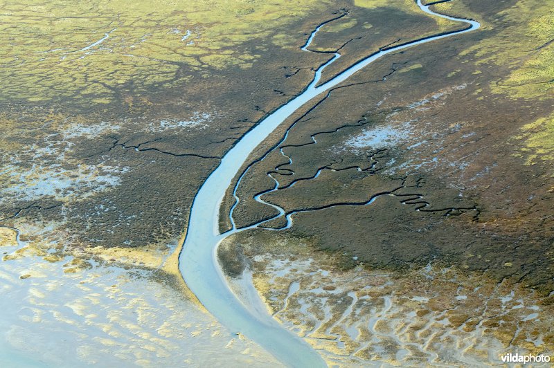Kreek op kwelder Schiermonnikoog