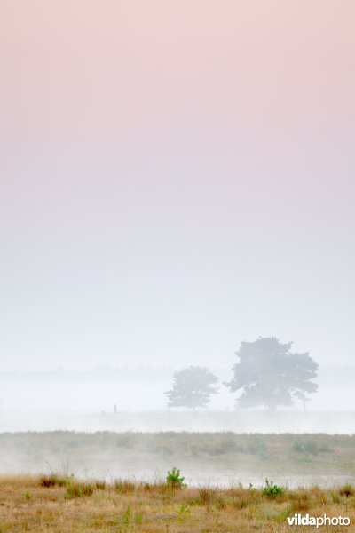 Zonsopgang boven een recente natuurontwikkeling