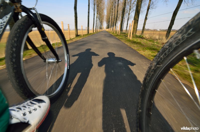 Fietsen op de Koningsdijk