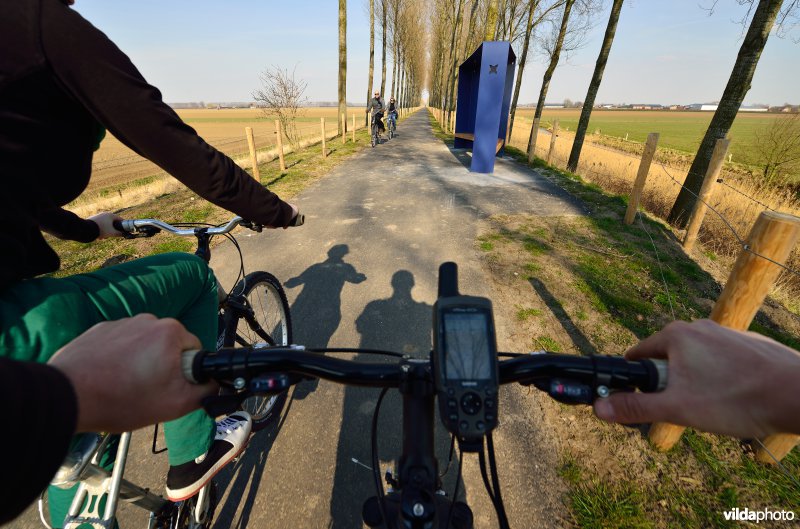 Fietsen op de Koningsdijk