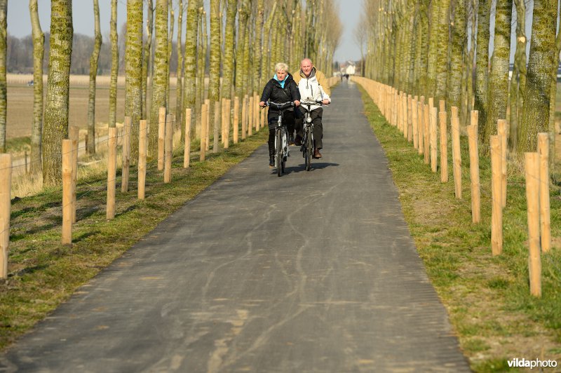 Fietsen op de Koningsdijk