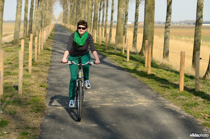 Fietsen op de Koningsdijk