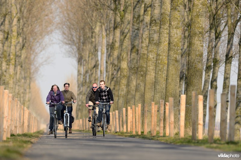 Fietsen op de Koningsdijk