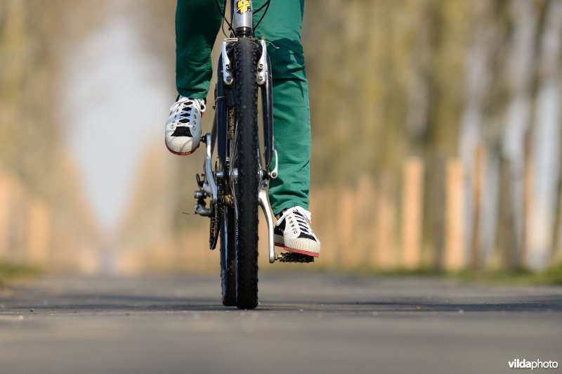 Fietsen op de Koningsdijk