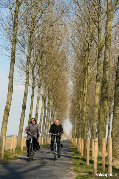 Fietsen op de Koningsdijk