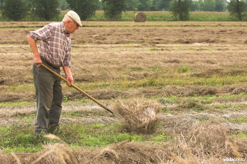 Boer keert vlasoogst