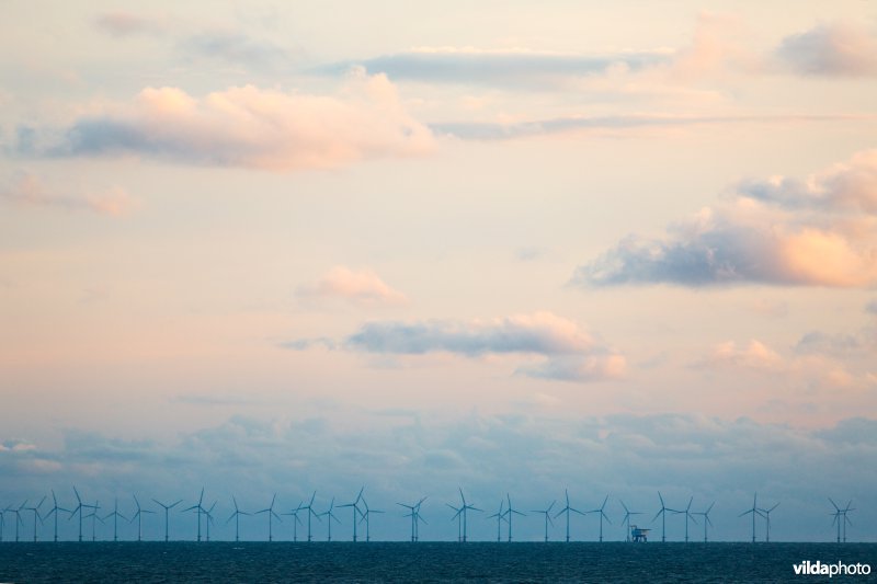 Windturbines op zee