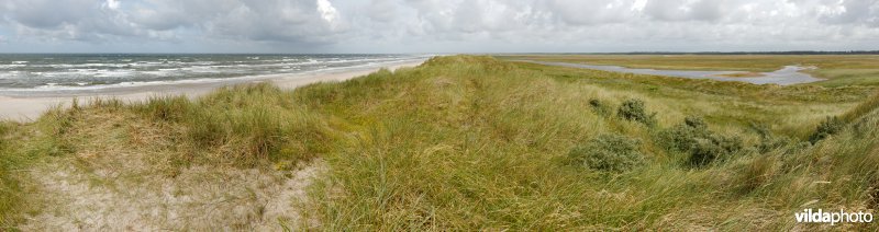 Duinen, strand, zee en zoutmoeras