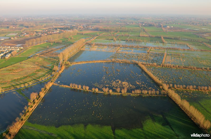 Assebroekse meersen