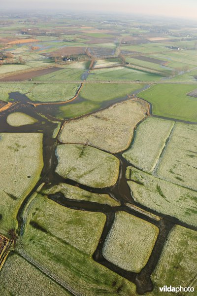Polders rond Damme
