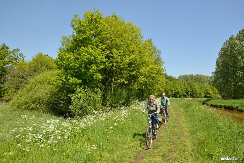 Fietsen langs de Grote Nete