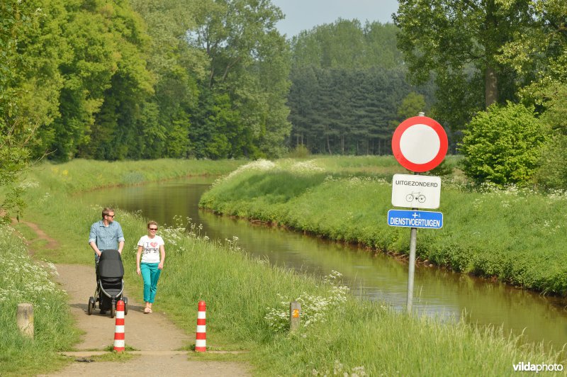 Wandelen langs de Grote Nete