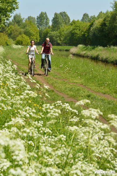 Fietsen langs de Grote Nete