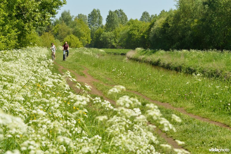 Fietsen langs de Grote Nete