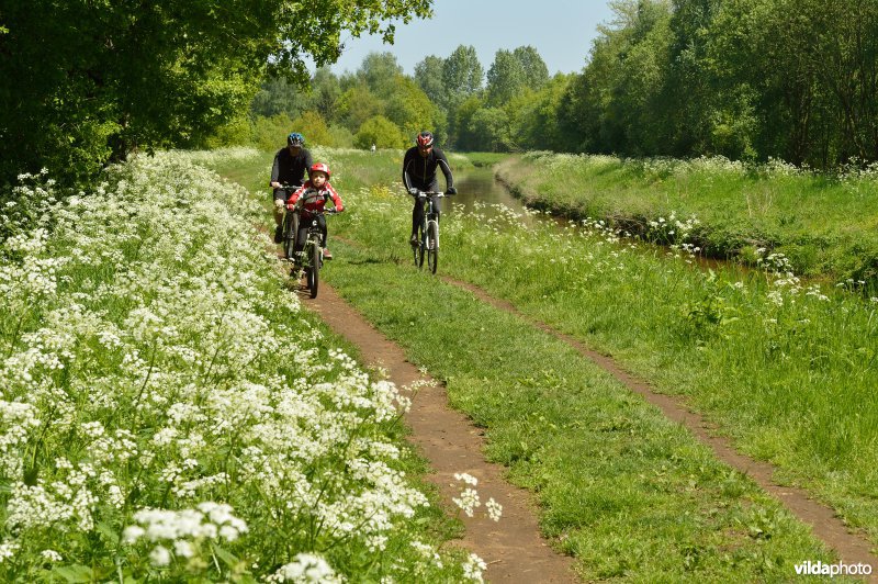 Fietsen langs de Grote Nete