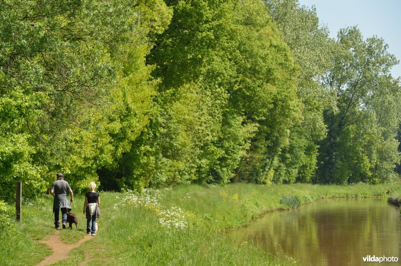 Fietsen langs de Grote Nete