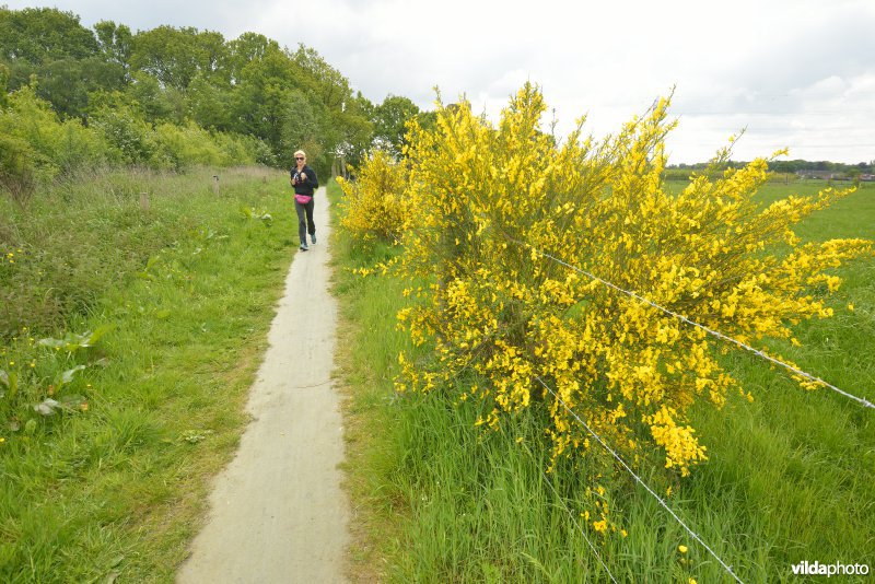 Jogger in De Reukens