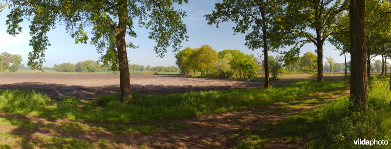 Limburgs bocagelandschap