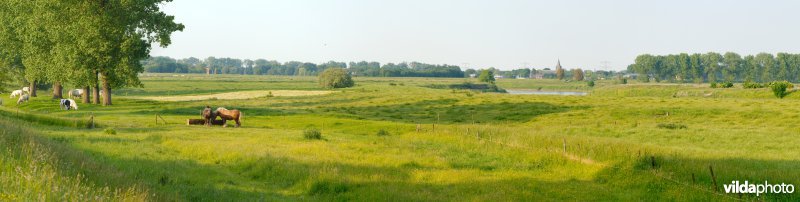 Graslanden in de Maasvallei