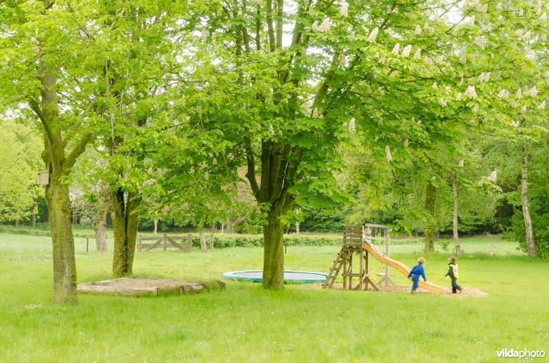 Kinderen spelen op een groen erf