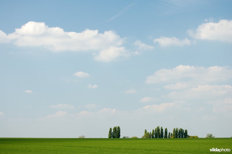 Toscane in Hoegaarden