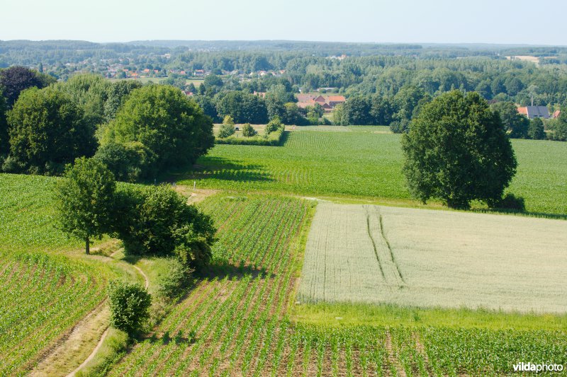 Gevarieerd landbouwlandschap