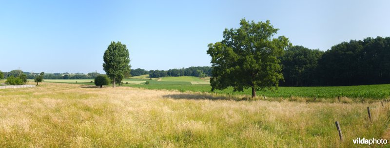 Gevarieerd landbouwlandschap