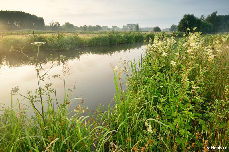 Scherenmeersen