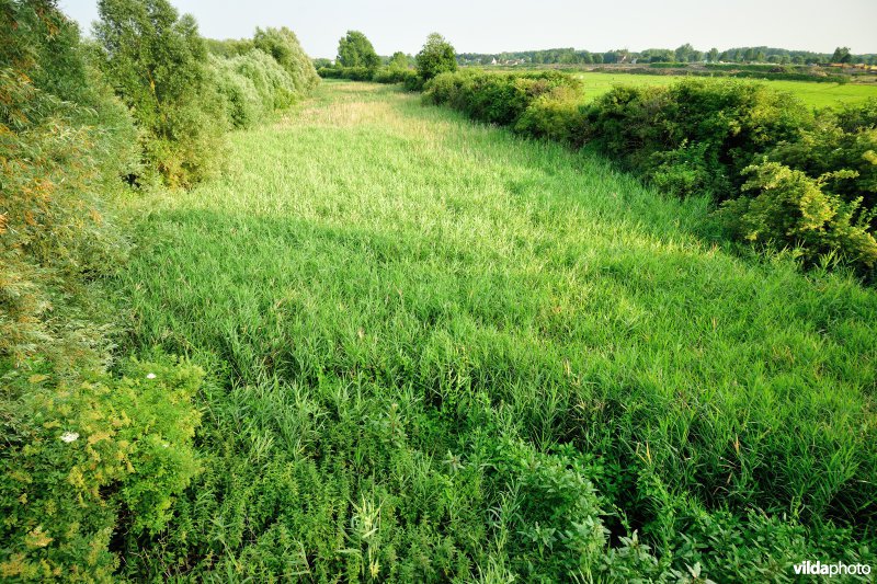 Oude Dijle
