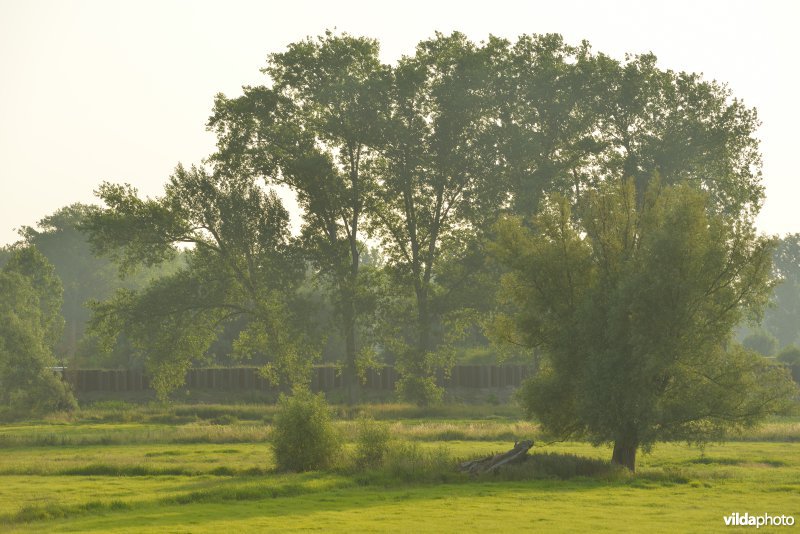 Zennegat
