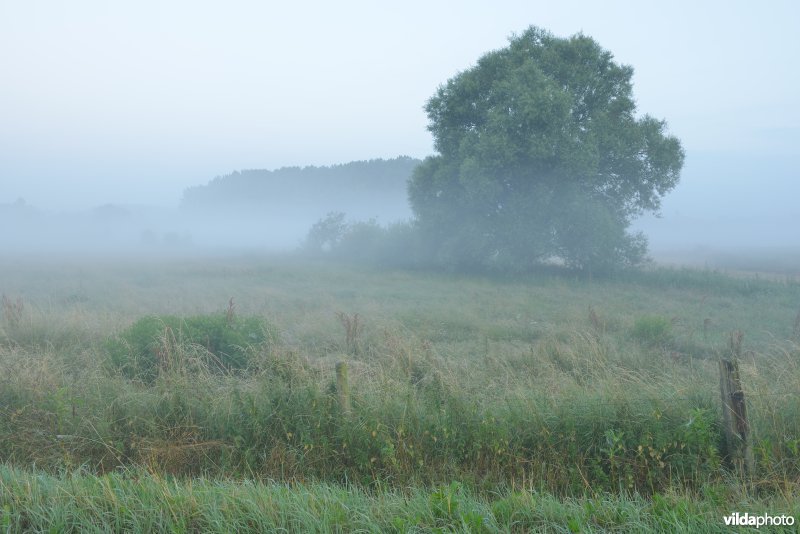 Grote Nete