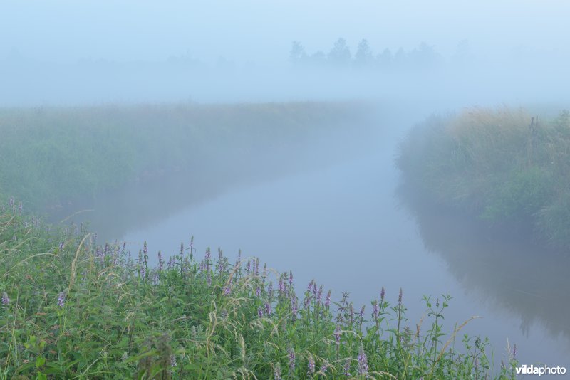 Grote Nete
