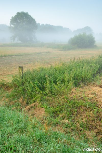 Vallei van de Grote Nete